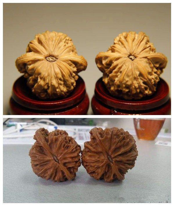 磨盘的山字尖会盘掉吗,磨盘有尖的原因