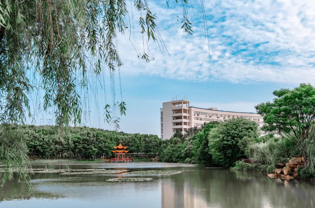 中医针灸膝关节功能恢复,膝关节病针灸视频