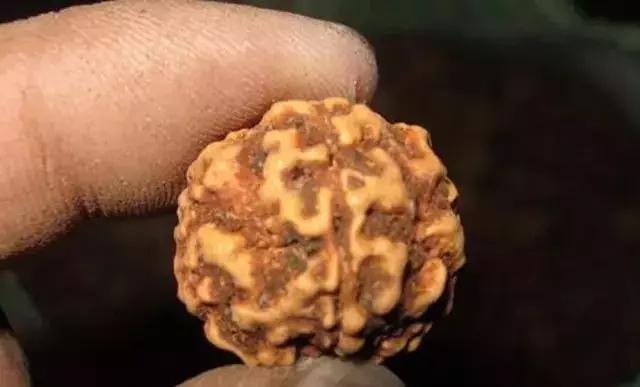 这些金刚的替代品，你们都有买过吗？