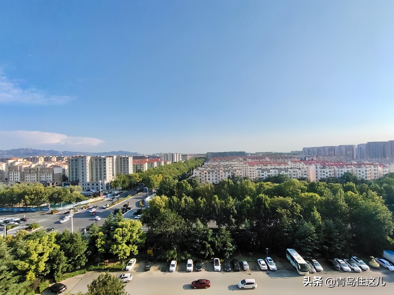 青岛楼市今年涨还是跌,青岛城阳各板块分析
