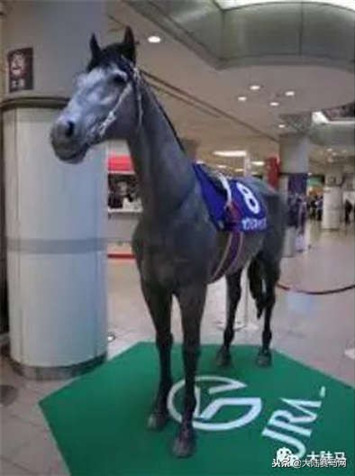 千万不要放弃一件事情,千万不要轻易的放弃