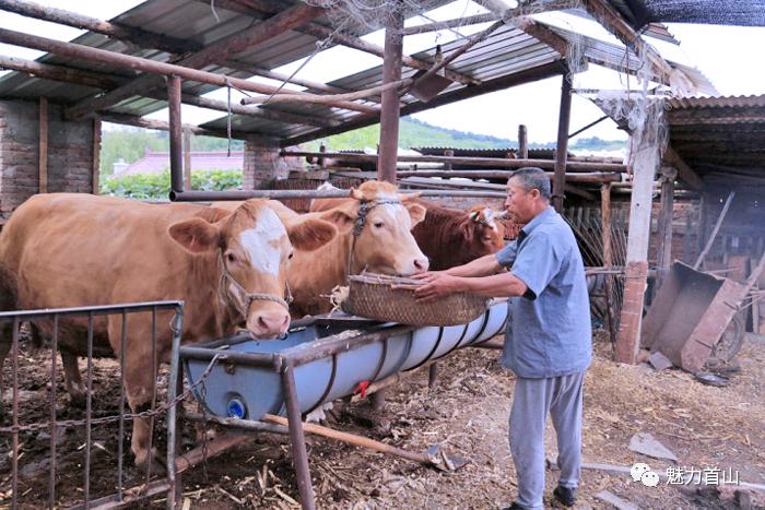 【走向我们的小康生活】自强不息产业致富撑起脱贫梦