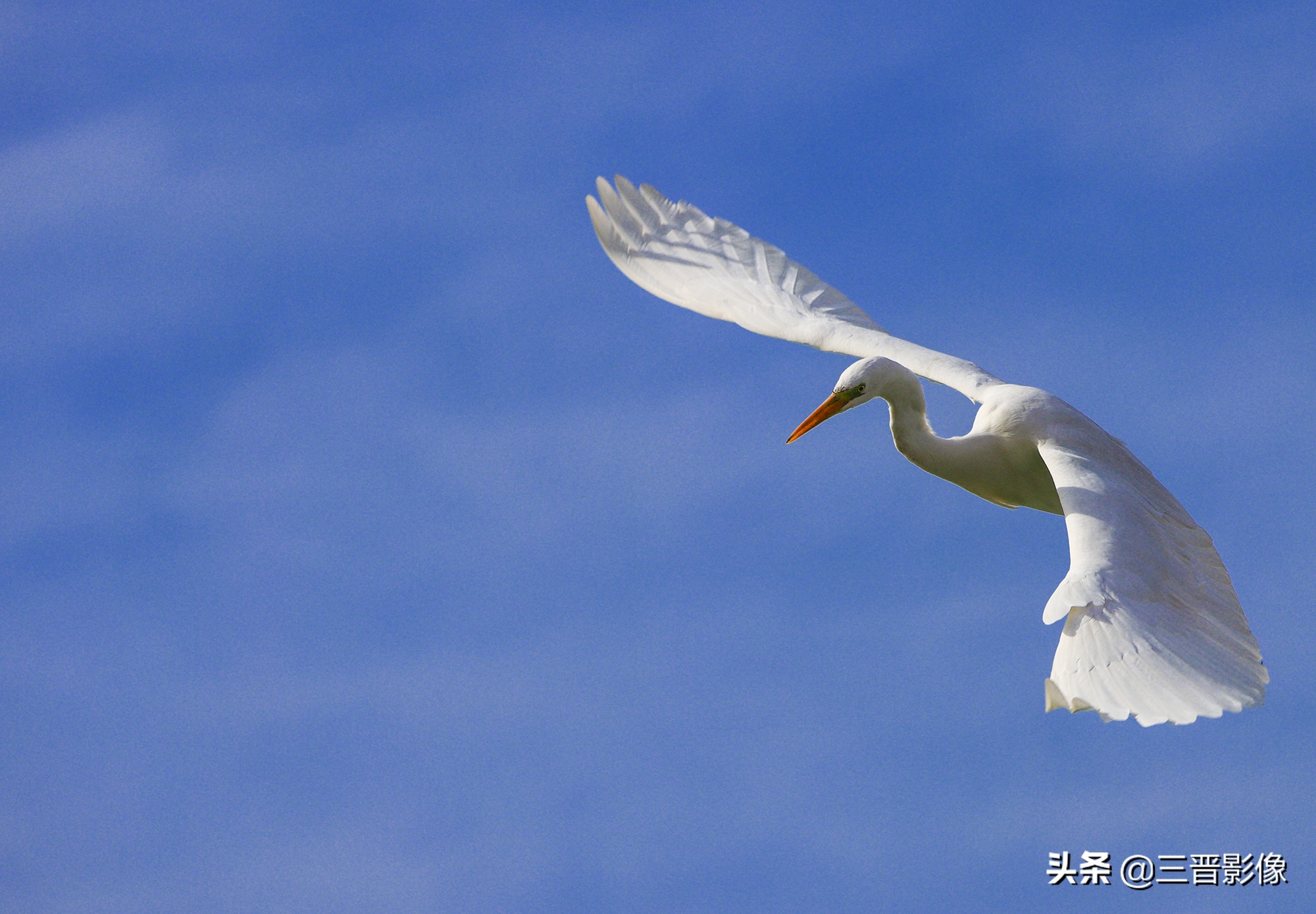 佳能r5转接佳能ef50l拍摄的作品,佳能r5转接ef镜头感觉没有5d4清晰