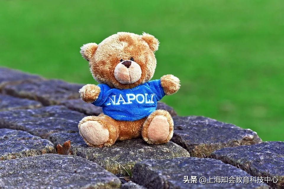 白岩松说自己对孩子教育很重要 (白岩松的家庭教育决定孩子一生)