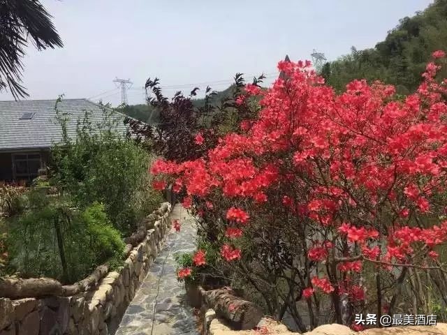 为一姑娘，10年他把30亩荒地打造成梦想家园，让人懂得真爱的意义