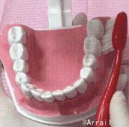 有效美白牙齿的小方法,5大美白牙齿的小窍门