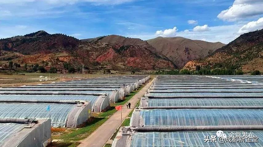 感动！金堂女医生自己输着氧连做3台手术