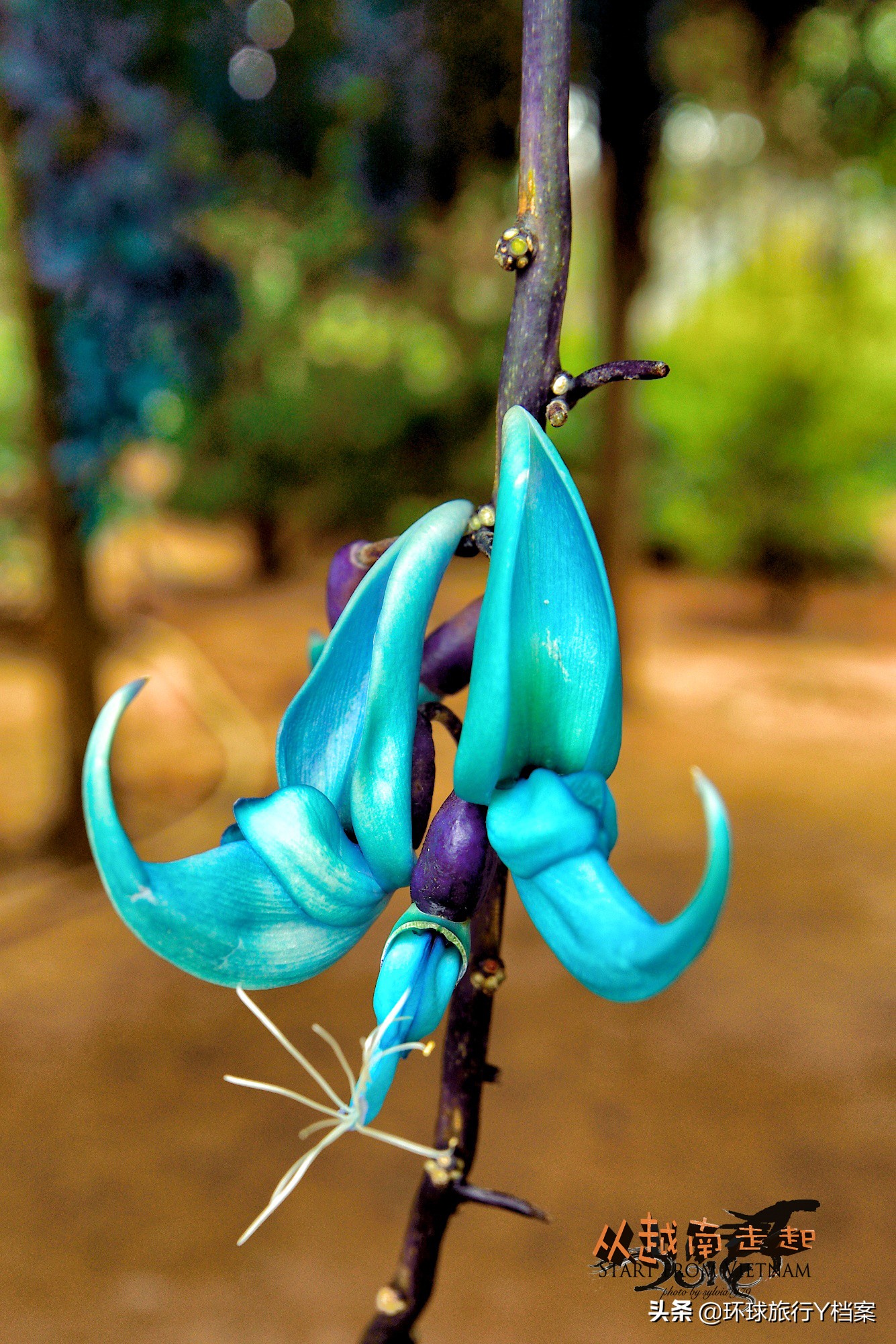 cnn上榜绝美旅行地,cnn评选出一生必去的50个地方