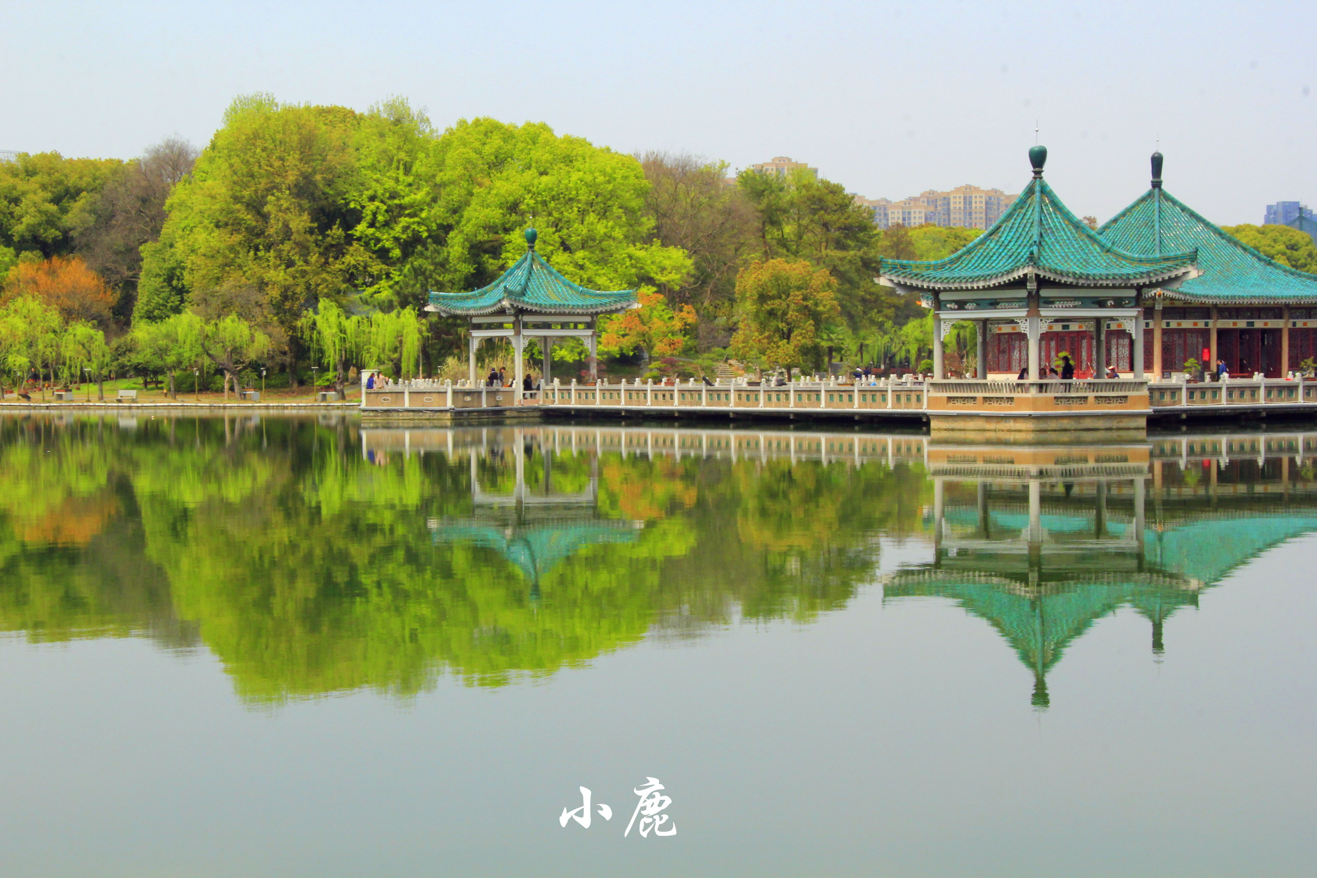 武汉周边赏花踏青好去处,武汉赏樱花旅游攻略