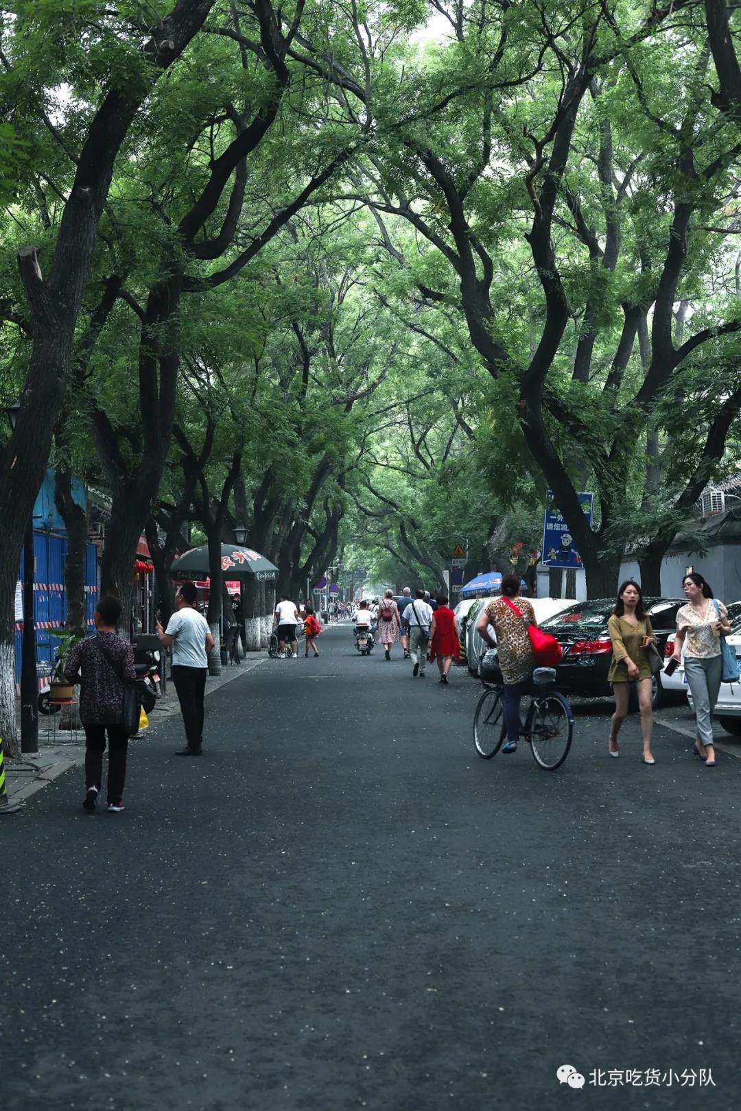 北京胡同一日游这8条必逛,北京胡同游攻略地图