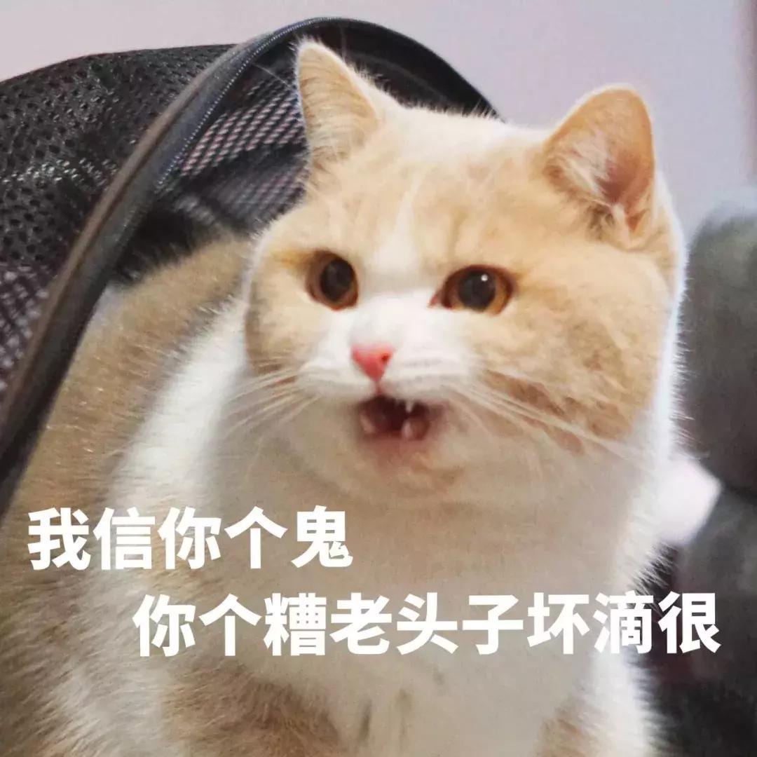 毛晓彤谈感情时林允眼神,毛晓彤谈林允