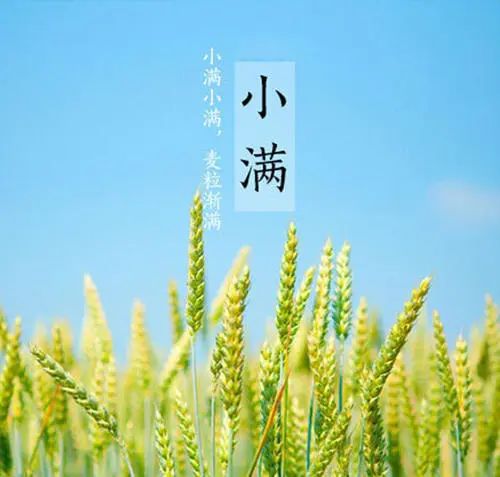 小满时节,湿热缠身,干了这碗薏仁陈皮水鸭汤