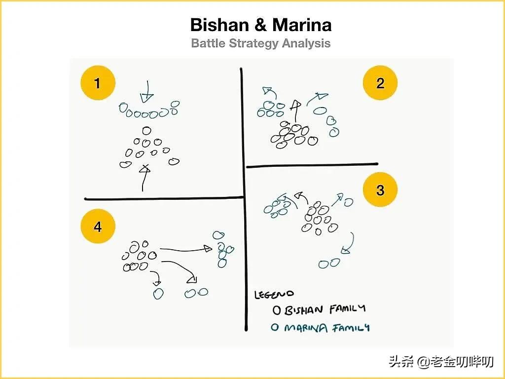 水獭与平头哥是同科吗,水獭动物界的平头哥