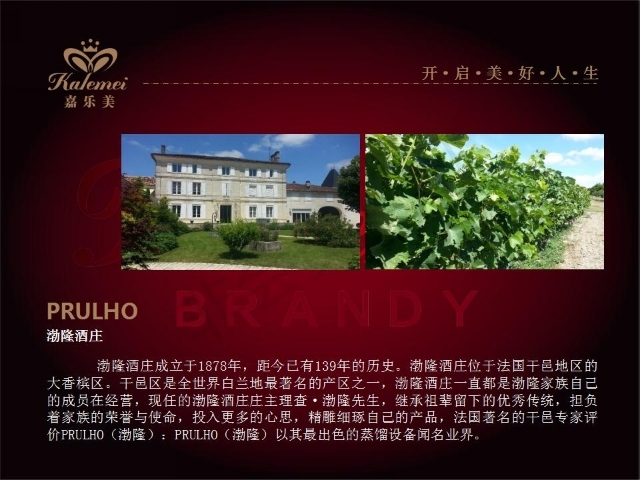 嘉乐美XOBRANDY征集广告语，热爱文学酒文化爱好者投稿采纳有奖