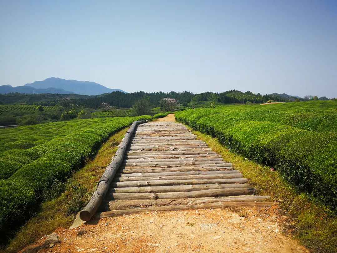 2020环鄱阳湖自行车大赛终点,来吧2024冠军赛名单