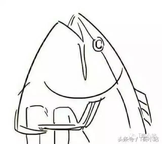 新手动漫知识,盘点那些常见的动漫专用术语