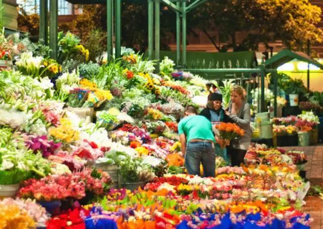 亚洲最大花市宛如仙境,中国最牛的花市