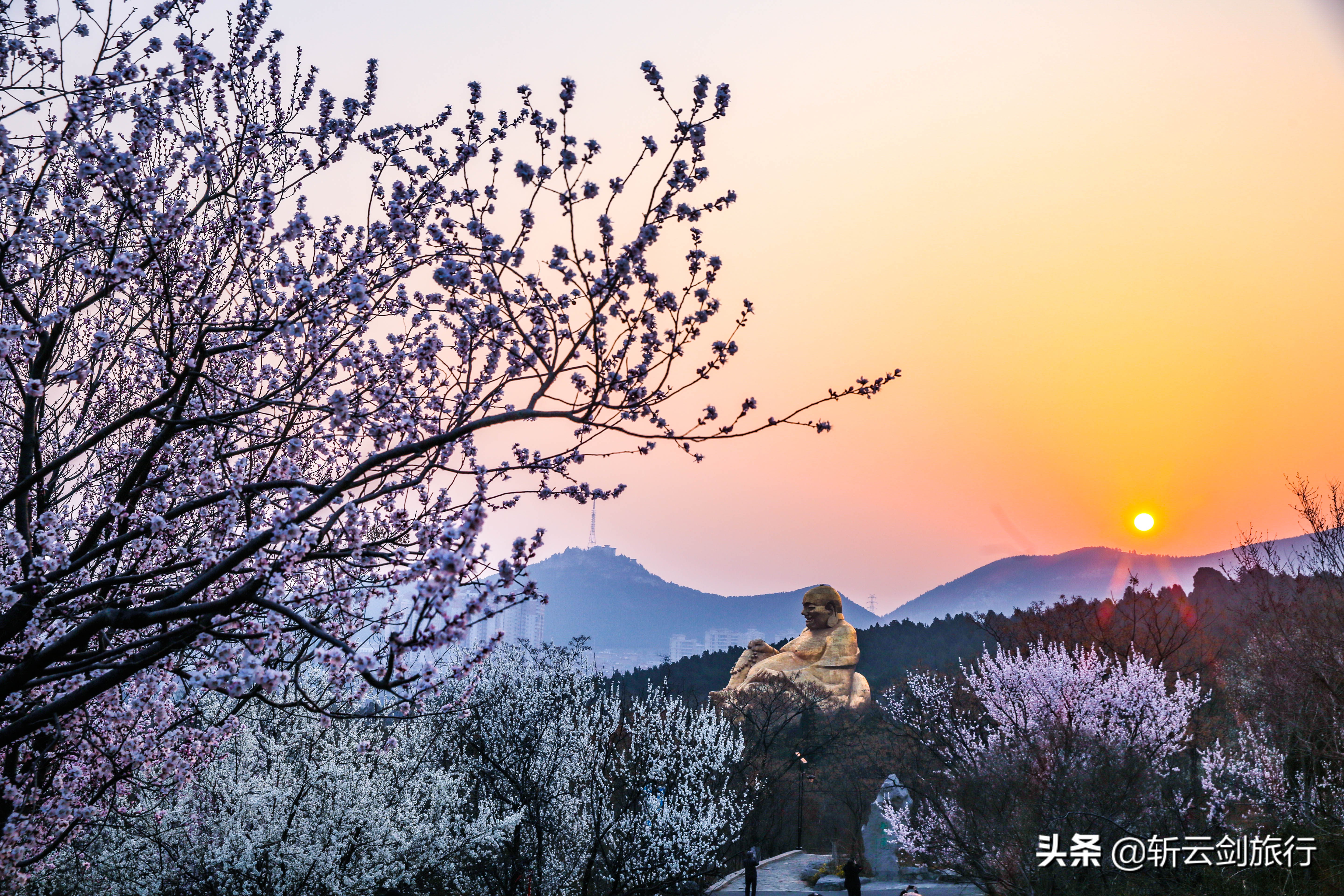 公园年票济南,济南公园通游年票已开始办理