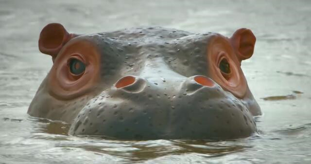 bbc有多有钱,bbc多有钱