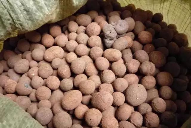 石斛兰烂根全部腐烂怎么办,石斛兰花烂根要怎么挽救