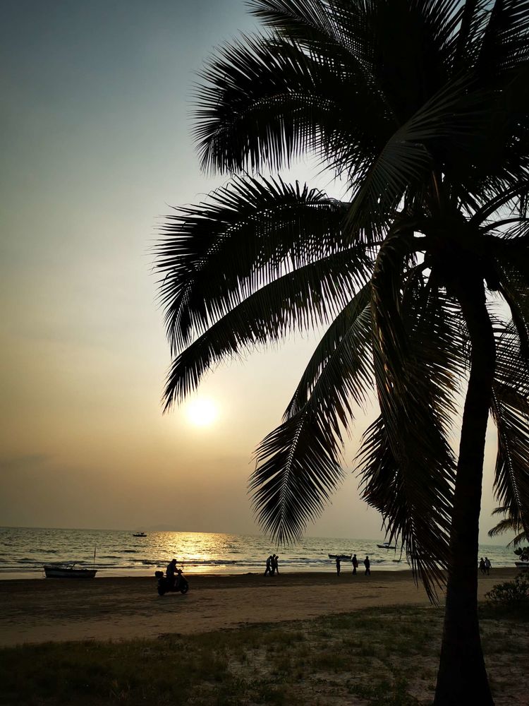 三亚冲浪旅行攻略,去三亚旅游看海