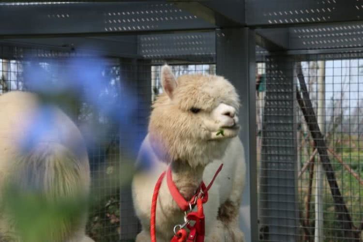 南戴河汐溪亲子酒店,北欧风情房推窗看海邂逅美景