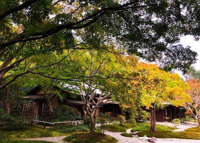 和大家一样去了大阪，但我不想随波逐流