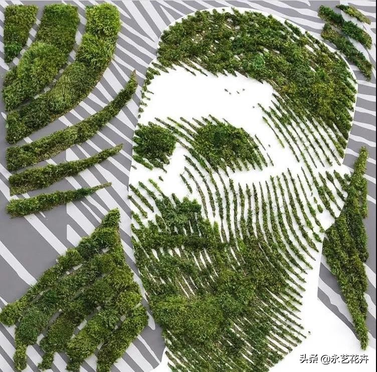 永生花苔藓植物墙,永生苔藓的价格