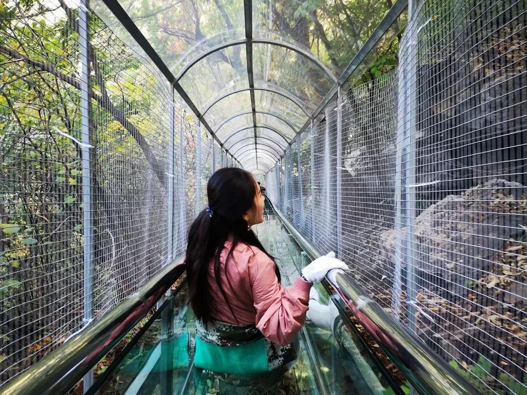 短、平、快、爆！那些蹿红网络的景区二消业态大汇总