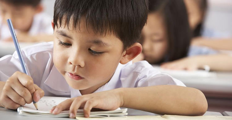 小学语文句子题知识点大全,小学生语文句型知识点