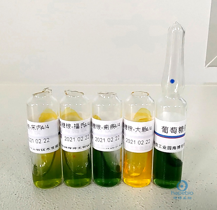 食品中志贺氏菌的检测,志贺氏菌检测标准值是不得检出吗