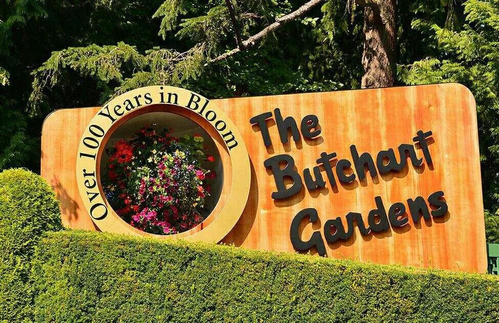 不用去维多利亚!南京溧水惊现布查特花园,文艺值爆表!