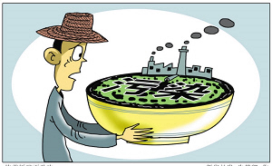 舌尖上的安全感悟,舌尖上的安全全册