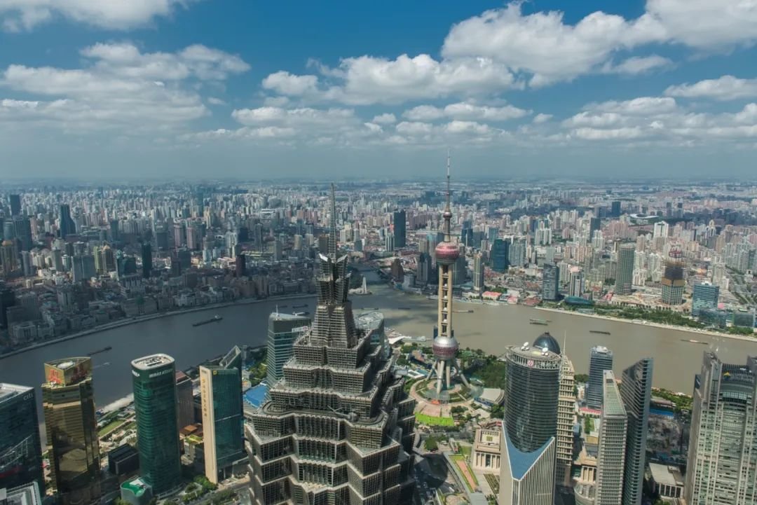 野心彻底暴露完整版,野心曝光