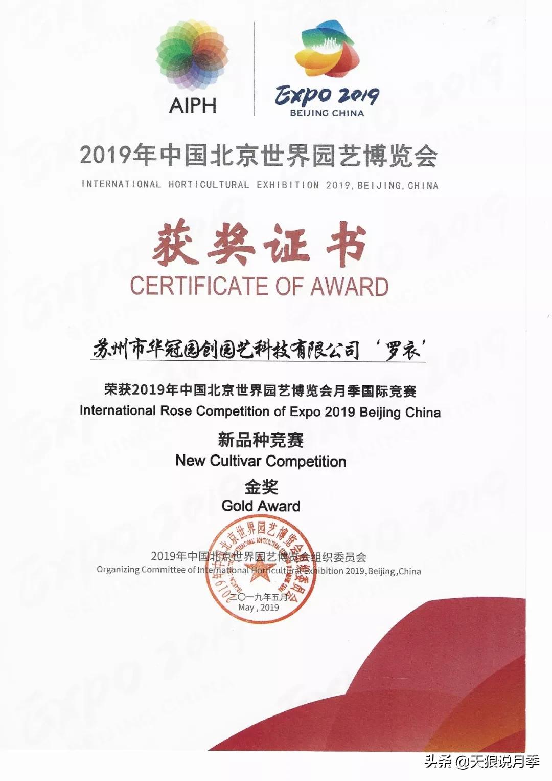 天狼月季起源,天狼月季是做什么的