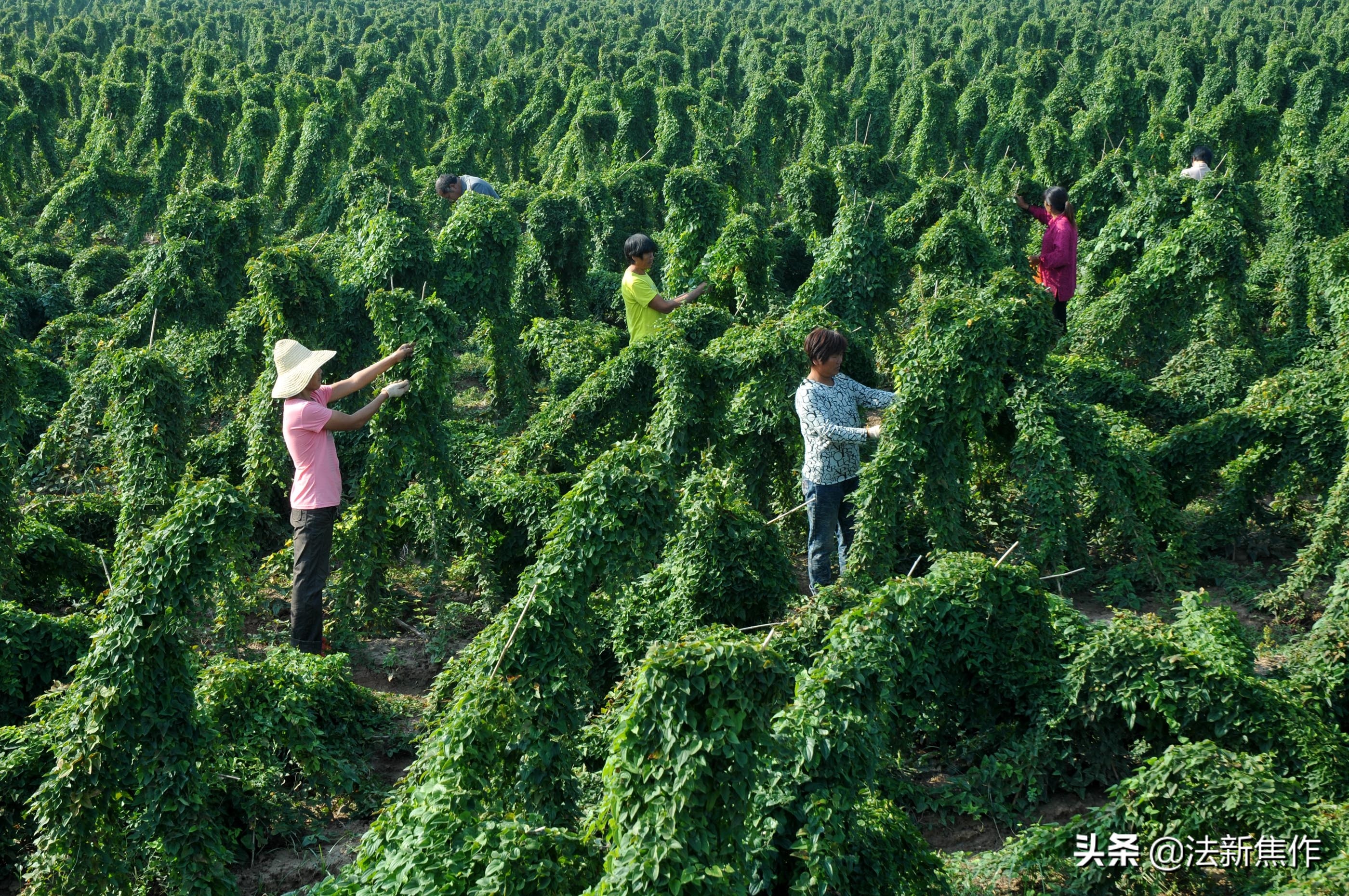 建党百年感人诗歌,献礼建党百年诗