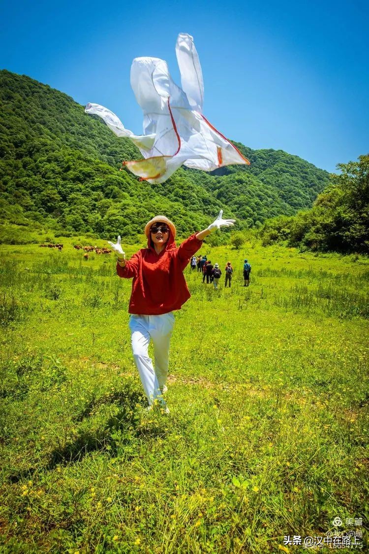 汉中圈子崖天坑,汉中镇巴圈子崖天坑旅游攻略