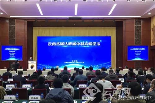 早fun丨长达50米的3D花墙横空出世，昆明再现宝藏打卡地