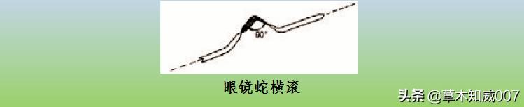 遥控航空模型等级,固定遥控飞机模型的飞行条件