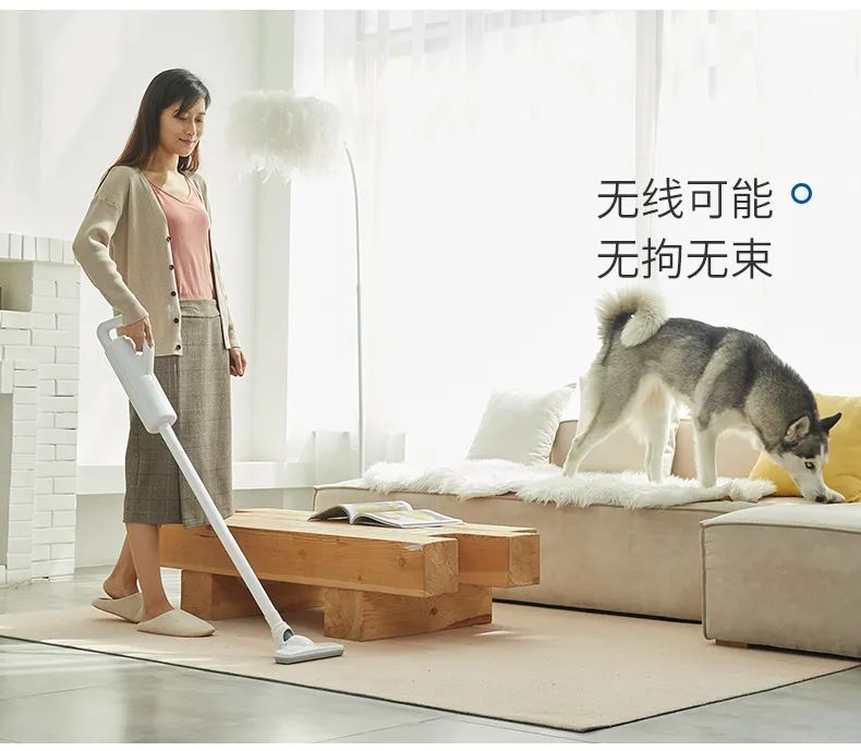 日本无线吸尘器家用强力,戴森吸尘器家用大吸力第一名