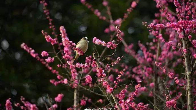 地铁万盛站将大变样，4000余岗位温江招聘会看这里！