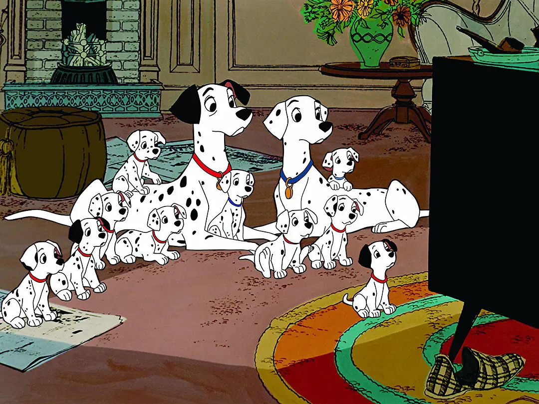 101斑点狗进化史,101斑点狗中哪些是亲生的狗狗