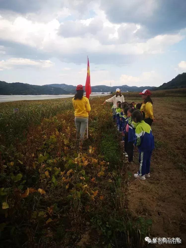 金太阳幼儿园校门,延安市甘泉谢金庄幼儿园