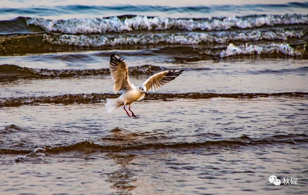 北戴河房车自驾游攻略,南戴河房车自驾游