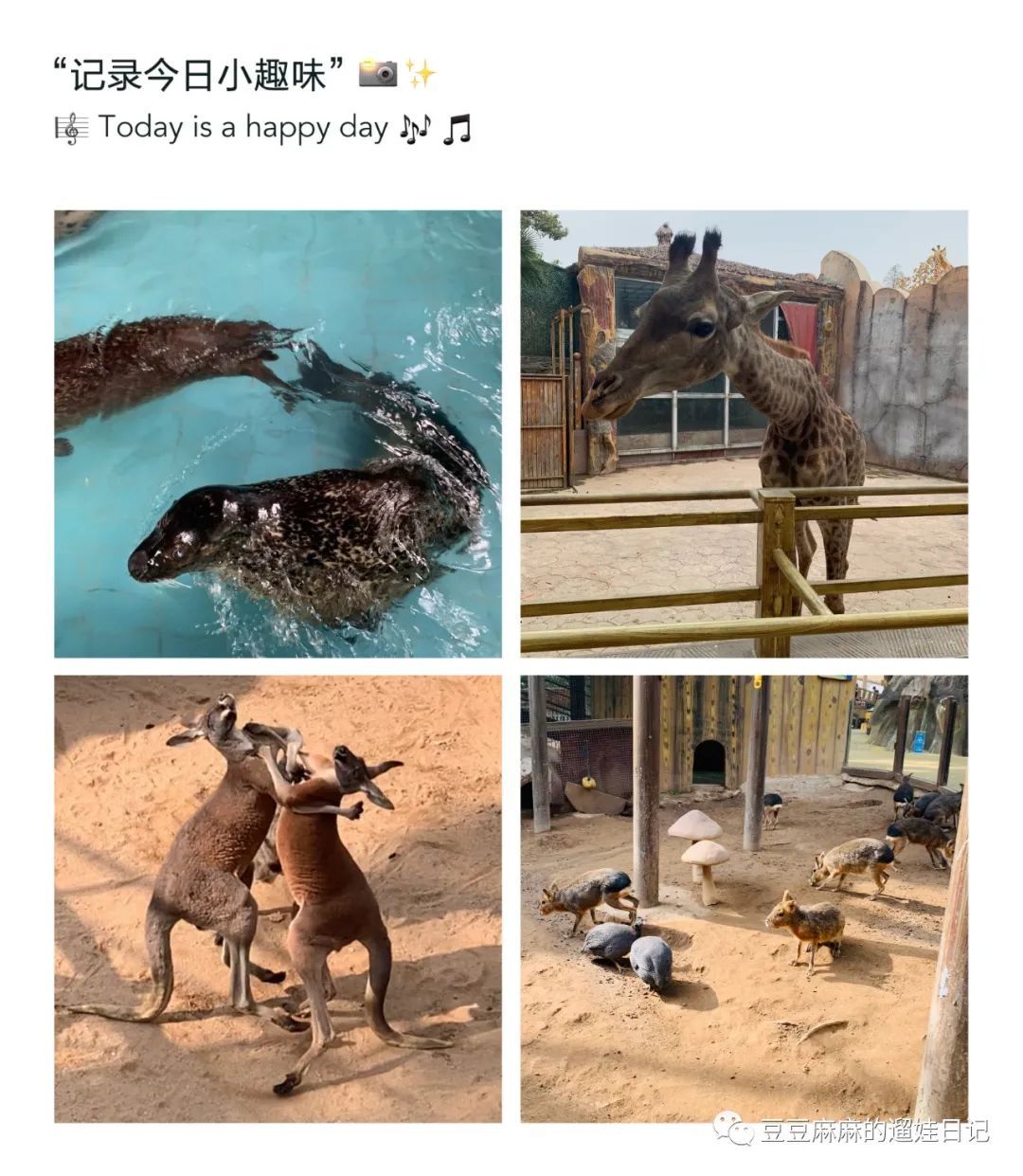 飞鸟世界和海洋世界,童话世界的小动物