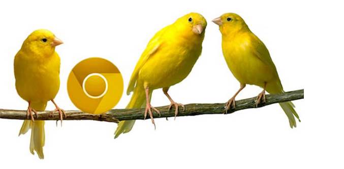 chrome浏览器和谷歌浏览器的区别,谷歌浏览器推送关闭