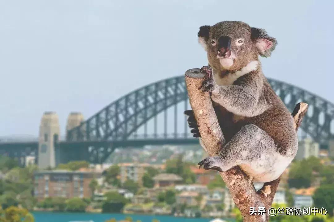 缅甸人护照签证过期了五年怎么办,赴美签证有效但护照过期了怎么办