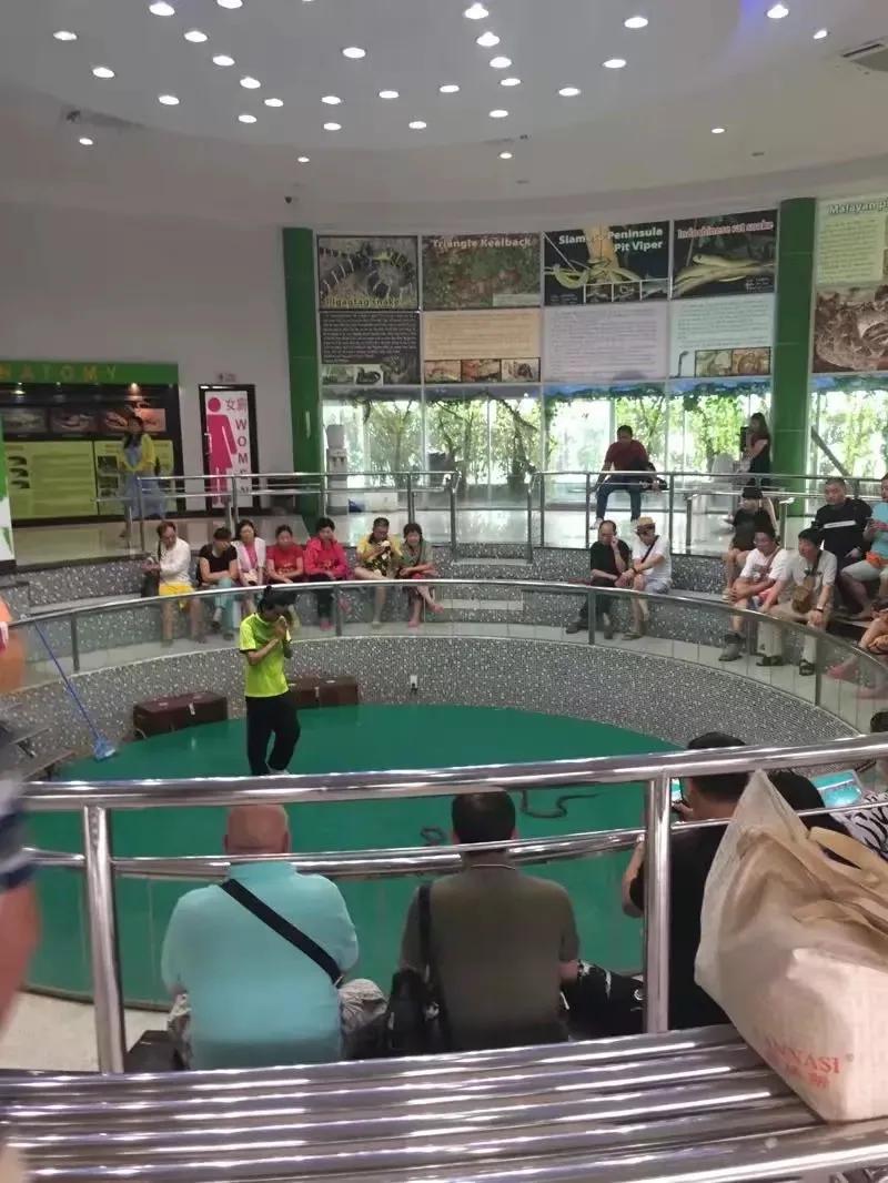 来普吉岛后感觉好难受,普吉岛最后一天购物