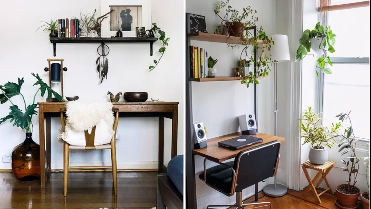 办公室室内盆栽品种有哪些,办公室寓意最好的十大盆栽