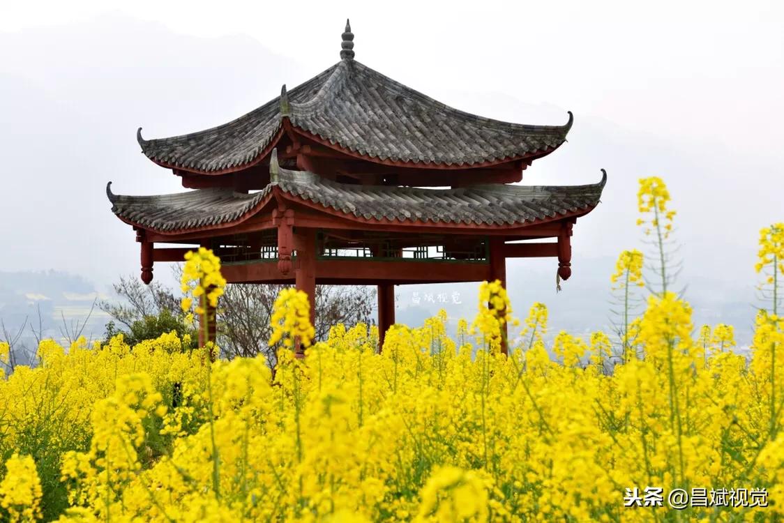 网上的图片可以加水印吗,图片加水印是怎么来的